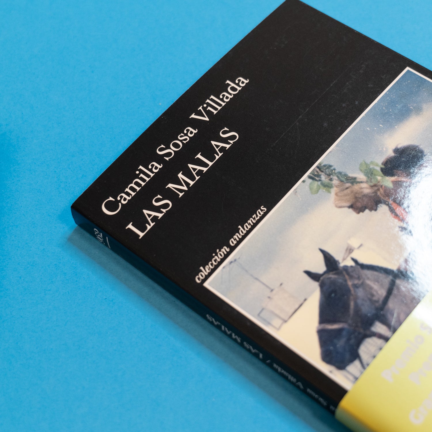 CAMILA SOSA VILLADA | Las malas