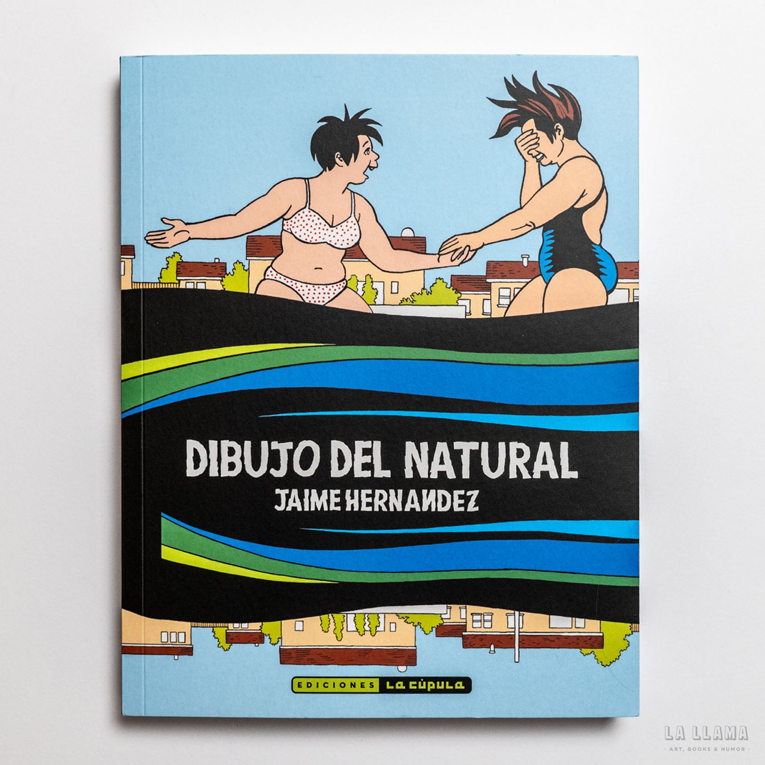 Imagen de diapositiva