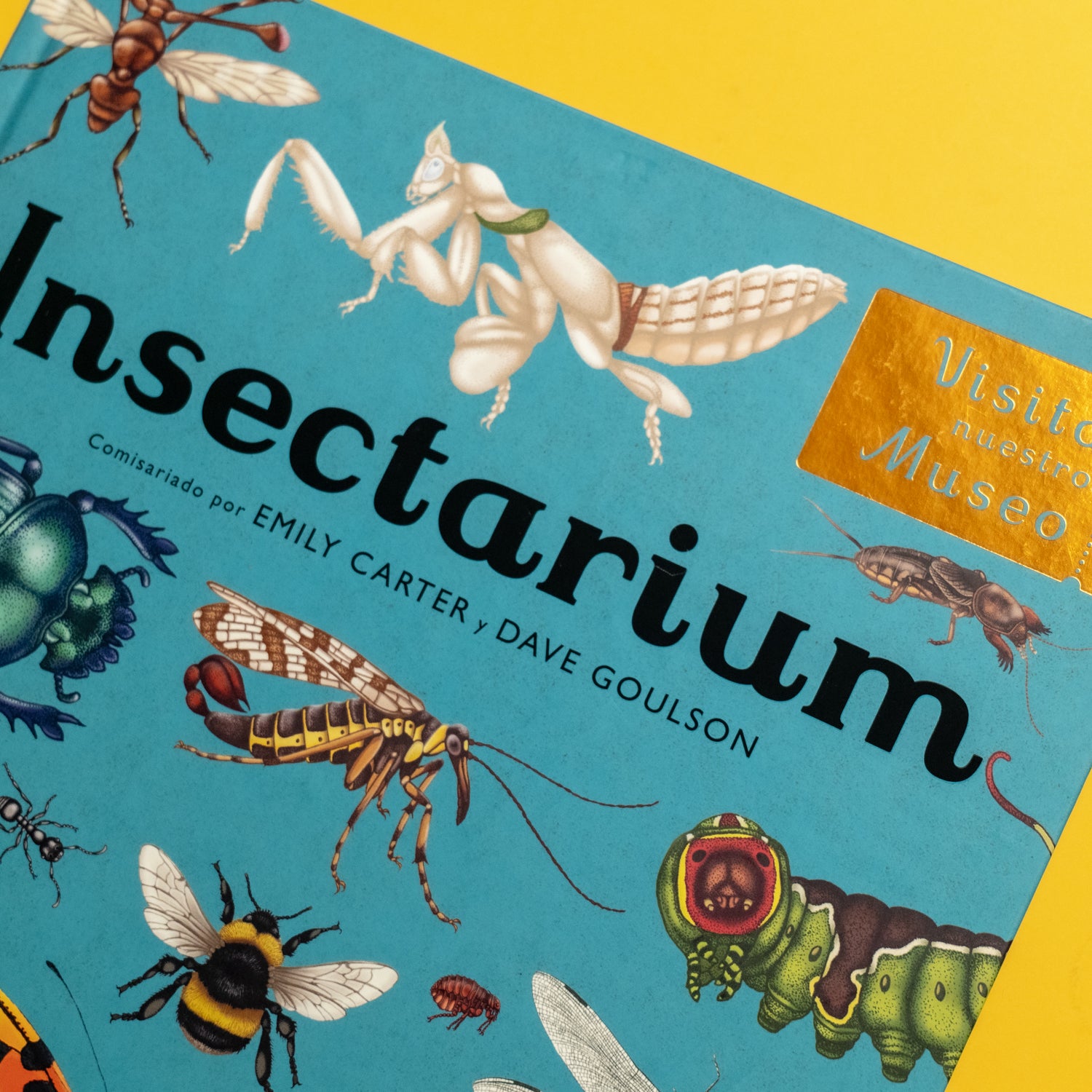 DAVE GOULSON | Insectarium