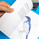 The Field Guide to Dumb Birds of the Whole Stupid World