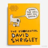 DAVID SHRIGLEY | What the hell are you doing? The essential David Shirgley