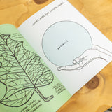 DAVID SHRIGLEY | What the hell are you doing? The essential David Shirgley