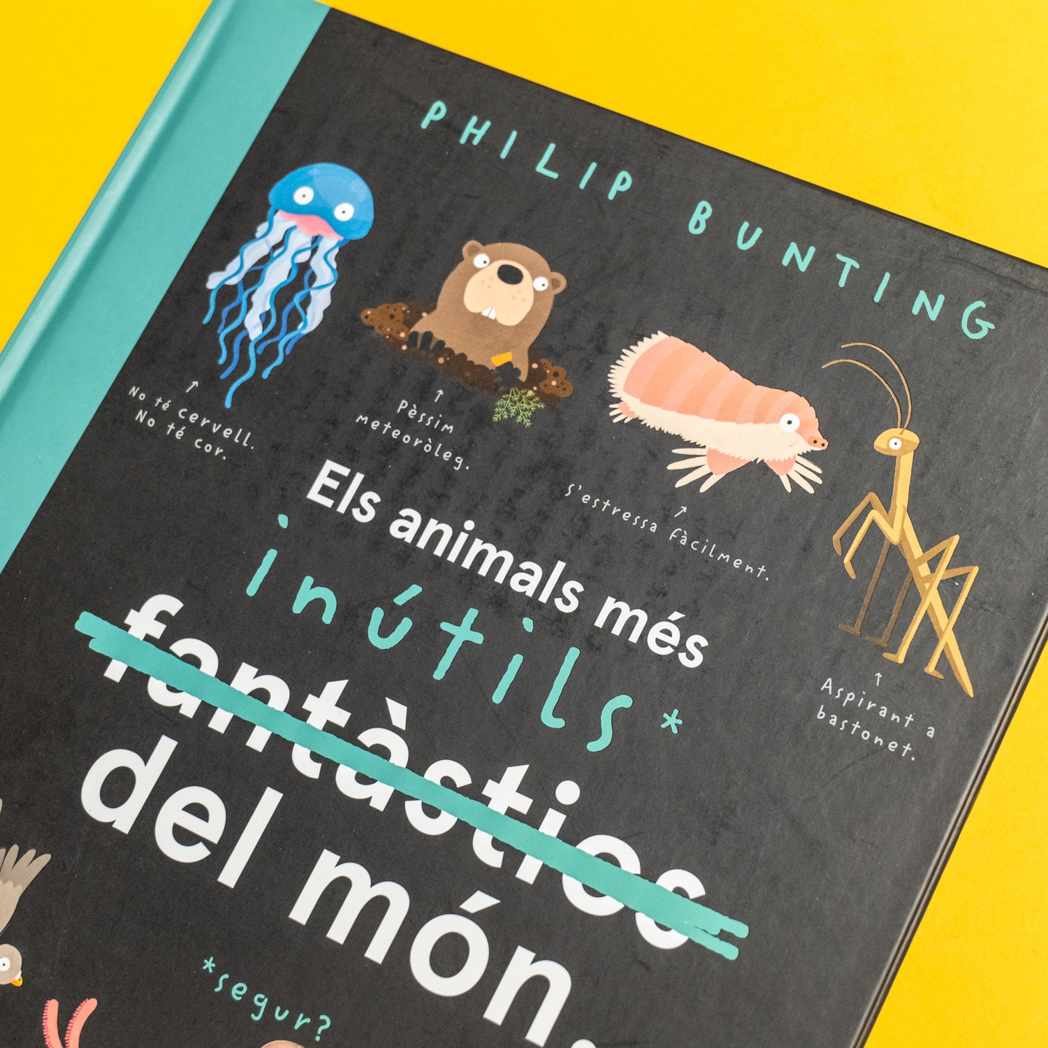 PHILIP BUNTING | Els animals més inútils del món