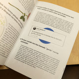 UNAFASE | La Reina del pop: Un fanzine de Amaia Montero