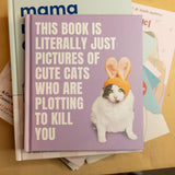 This Book is Literally Just Pictures of Cute Cats Who Are Plotting to Kill You