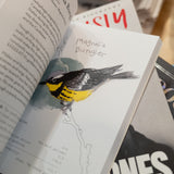 MATT KRACHT | A Dumb Birds Field Guide to the Worst Birds Ever