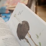 MATT KRACHT | A Dumb Birds Field Guide to the Worst Birds Ever