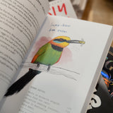 MATT KRACHT | A Dumb Birds Field Guide to the Worst Birds Ever