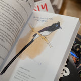 MATT KRACHT | A Dumb Birds Field Guide to the Worst Birds Ever