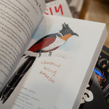 MATT KRACHT | A Dumb Birds Field Guide to the Worst Birds Ever