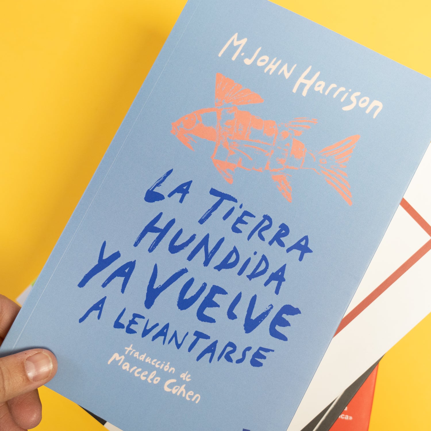M. JOHN HARRISON | La tierra hundida ya vuelve a levantarse