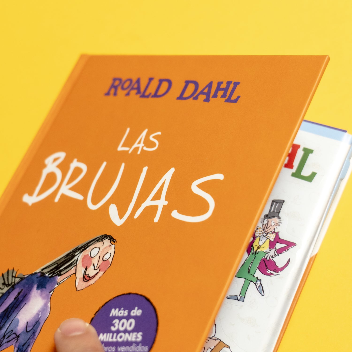 ROALD DAHL | Les bruixes