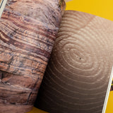 HELEN GORDON | Los meteoritos