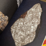 HELEN GORDON | Los meteoritos