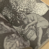 MARÍA DEL CARMEN TOSTADO GUTIÉRREZ | Álbum de plantas prohibidas