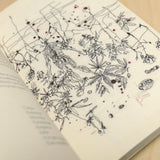 MARÍA DEL CARMEN TOSTADO GUTIÉRREZ | Álbum de plantas prohibidas