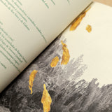 MARÍA DEL CARMEN TOSTADO GUTIÉRREZ | Álbum de plantas prohibidas