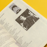 VV.AA. | Bang! Un fanzine del cambio (de siglo)