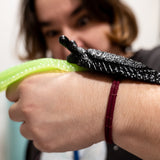 Caja de 2 Babosas Gigantes