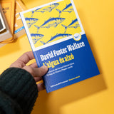 DAVID FOSTER WALLACE | L'aigua és això