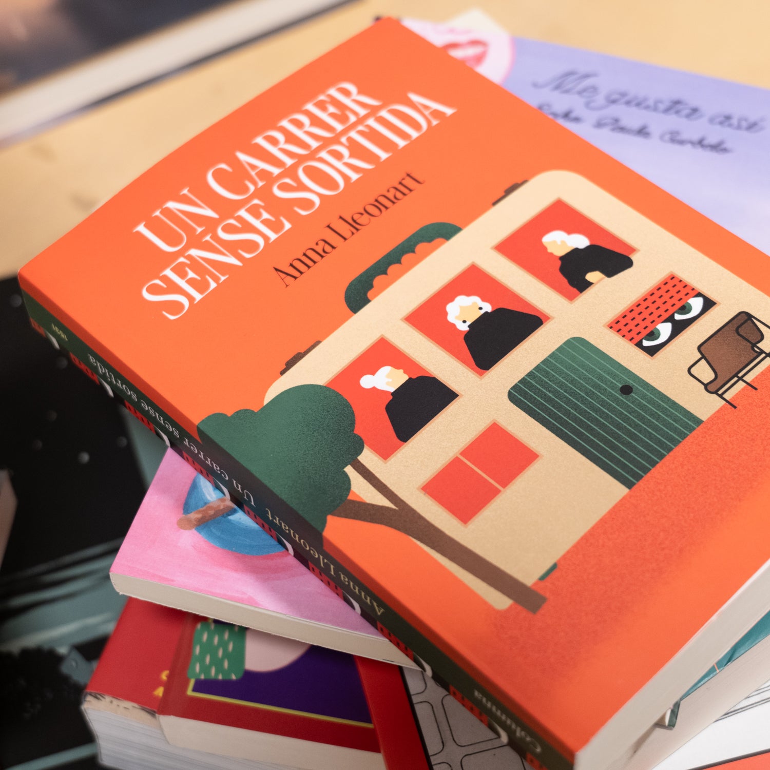 ANNA LLEONART | Un carrer sense sortida