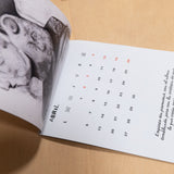 ARTEA | Calendario de artistas 2026