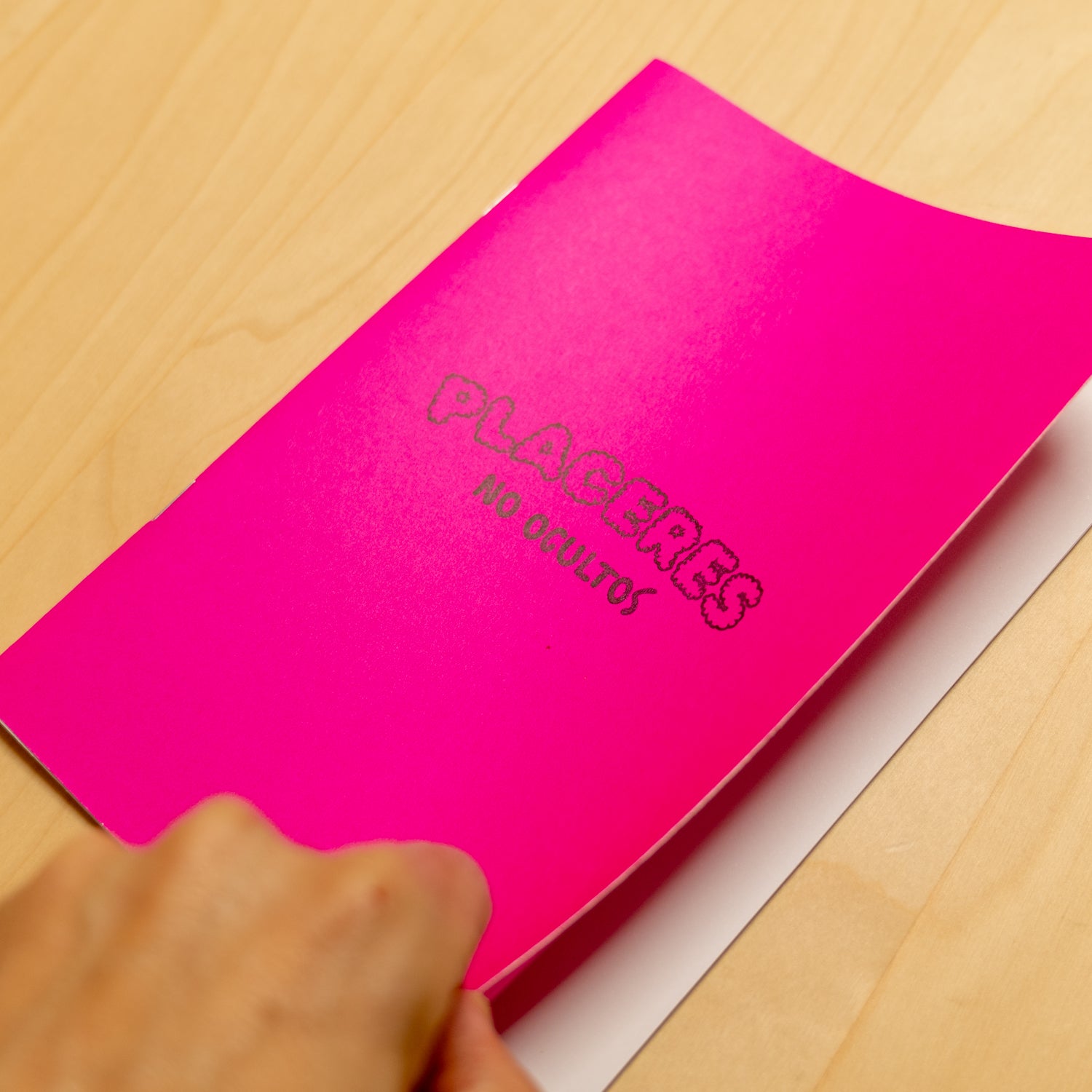 LORENA LOR_CRIM | Fanzine "Placeres no ocultos"