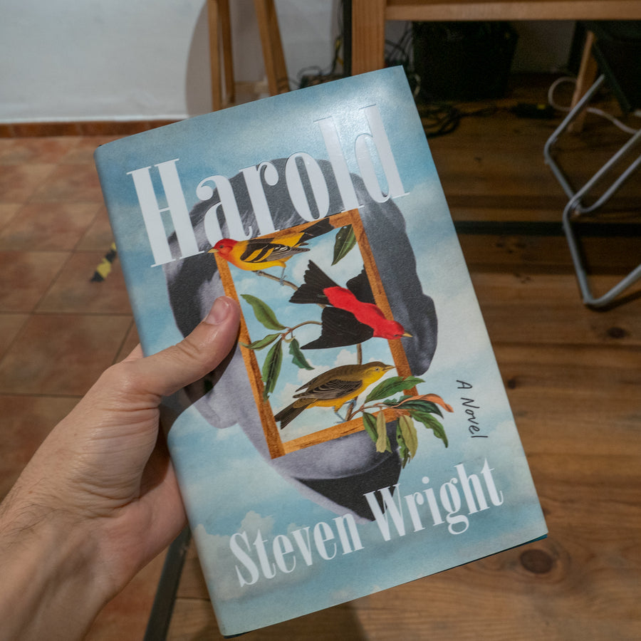 STEVEN WRIGHT | Harold