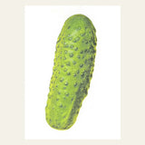 Postal "Pepino" (risografía)