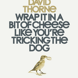 DAVID THORNE | Wrap It In a Bit of Cheese Like You're Tricking the Dog