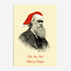 LA LLAMA | Postal Darwin Santa Claus