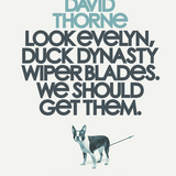 DAVID THORNE | Look Evelyn, Duck Dynasty Wiper Blades. We Should Get Them