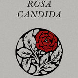 AUDUR AVA ÓLAFSDÓTTIR | Rosa candida