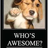Imán "who's awesome? You're awesome!"