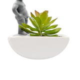 Niño desnudo que mea en tus plantas "Pee My Plants"