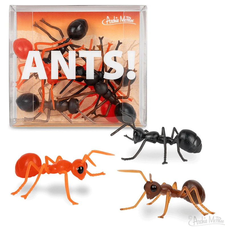 HORMIGAS! / ANTS!