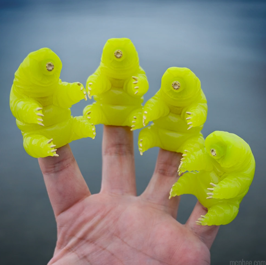 Tardígrados (fluorescentes) para dedos