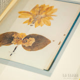 WARREN ELLIS | El Chicle de Nina Simone