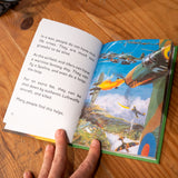 A LADYBIRD BOOK | The mid-life crisis