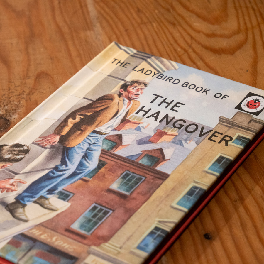 A LADYBIRD BOOK FOR GROWN-UPS | The Hangover