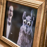 Googly Eyes: ojos locos de emergencia autoadhesivos