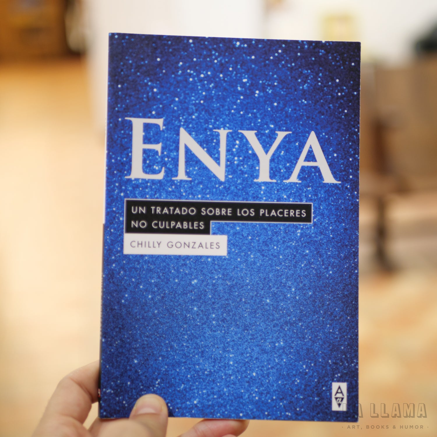 CHILLY GONZALES | Enya: Un tratado sobre los placeres no culpables