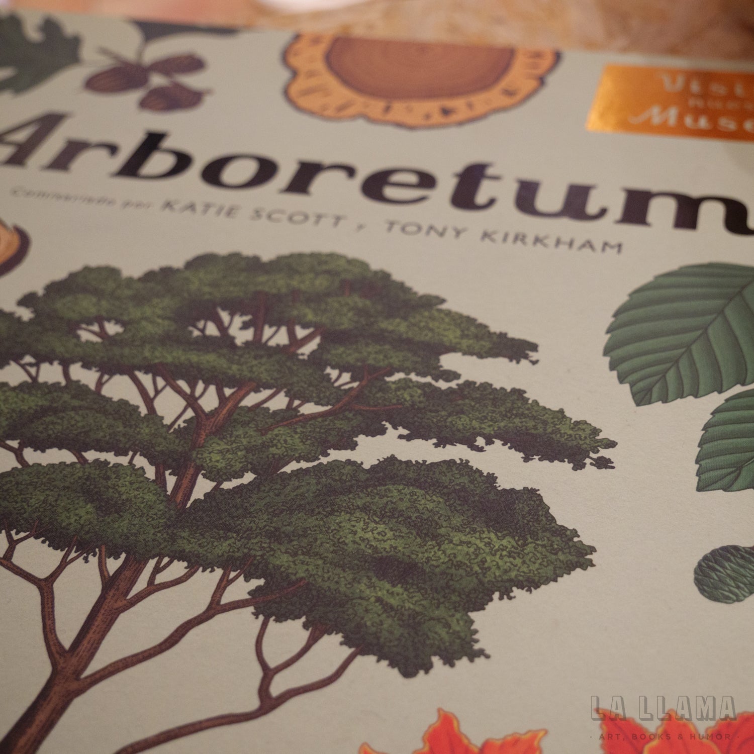 K. KIRKHAM & T. SCOTT | Arboretum