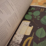 K. KIRKHAM & T. SCOTT | Arboretum