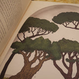 K. KIRKHAM & T. SCOTT | Arboretum