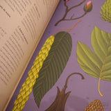 K. KIRKHAM & T. SCOTT | Arboretum