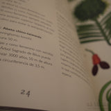 K. KIRKHAM & T. SCOTT | Arboretum