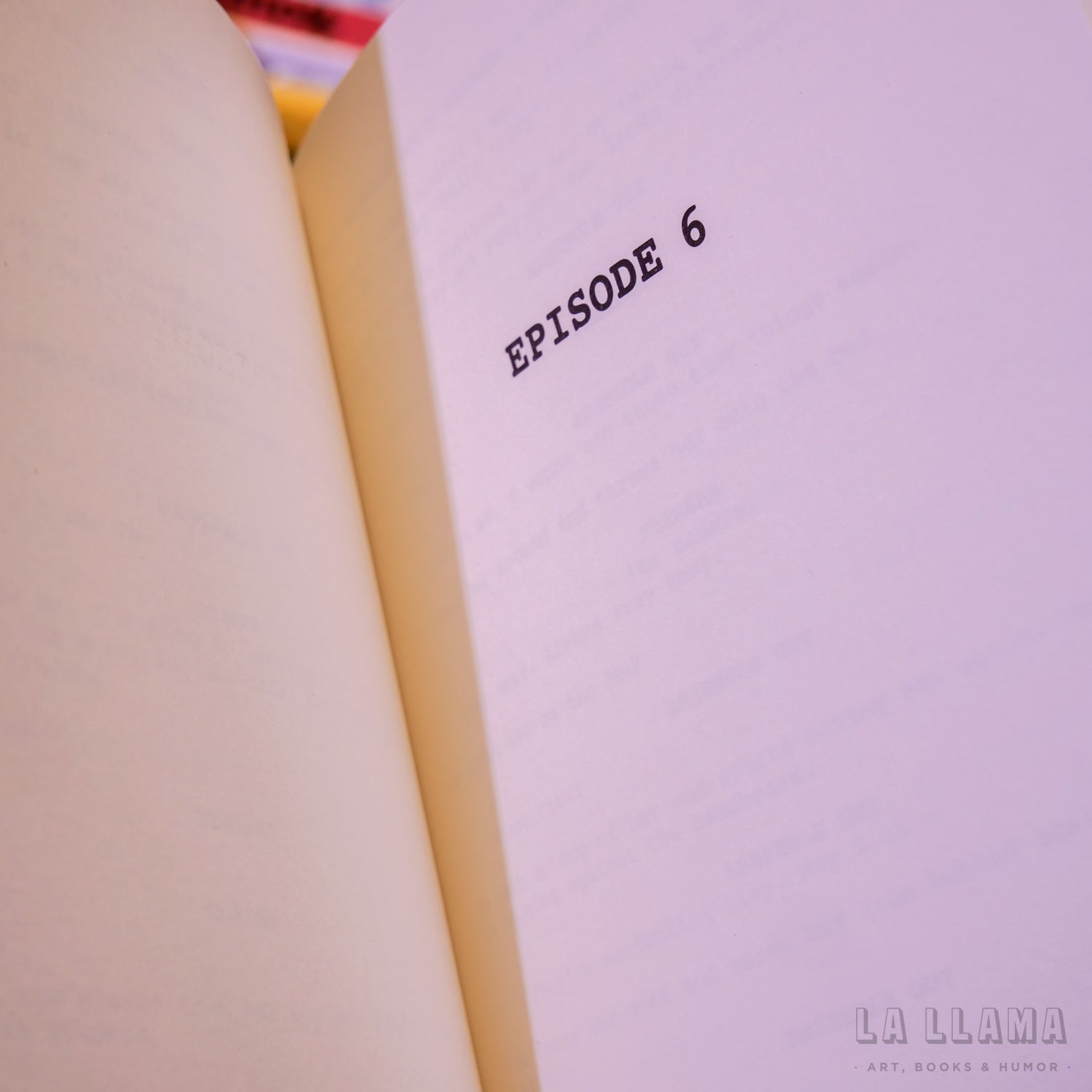 PHOEBE WALLER-BRIDGE | Fleabag: the scriptures (paperback) – La Llama Store