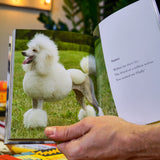 What I lick before your face and other haikus by dogs