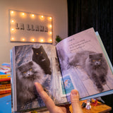 Please stop touching me... and other haikus by cats